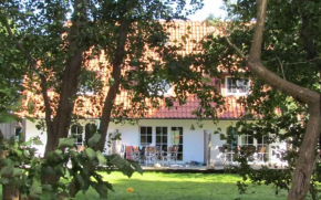Hus-Hiddensee, Insel Hiddensee